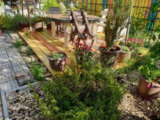 Гостевой дом Casa David Буштени-2